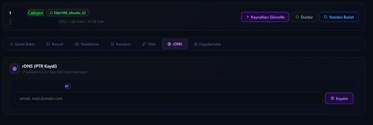 Ters DNS (rDNS) kayıtları